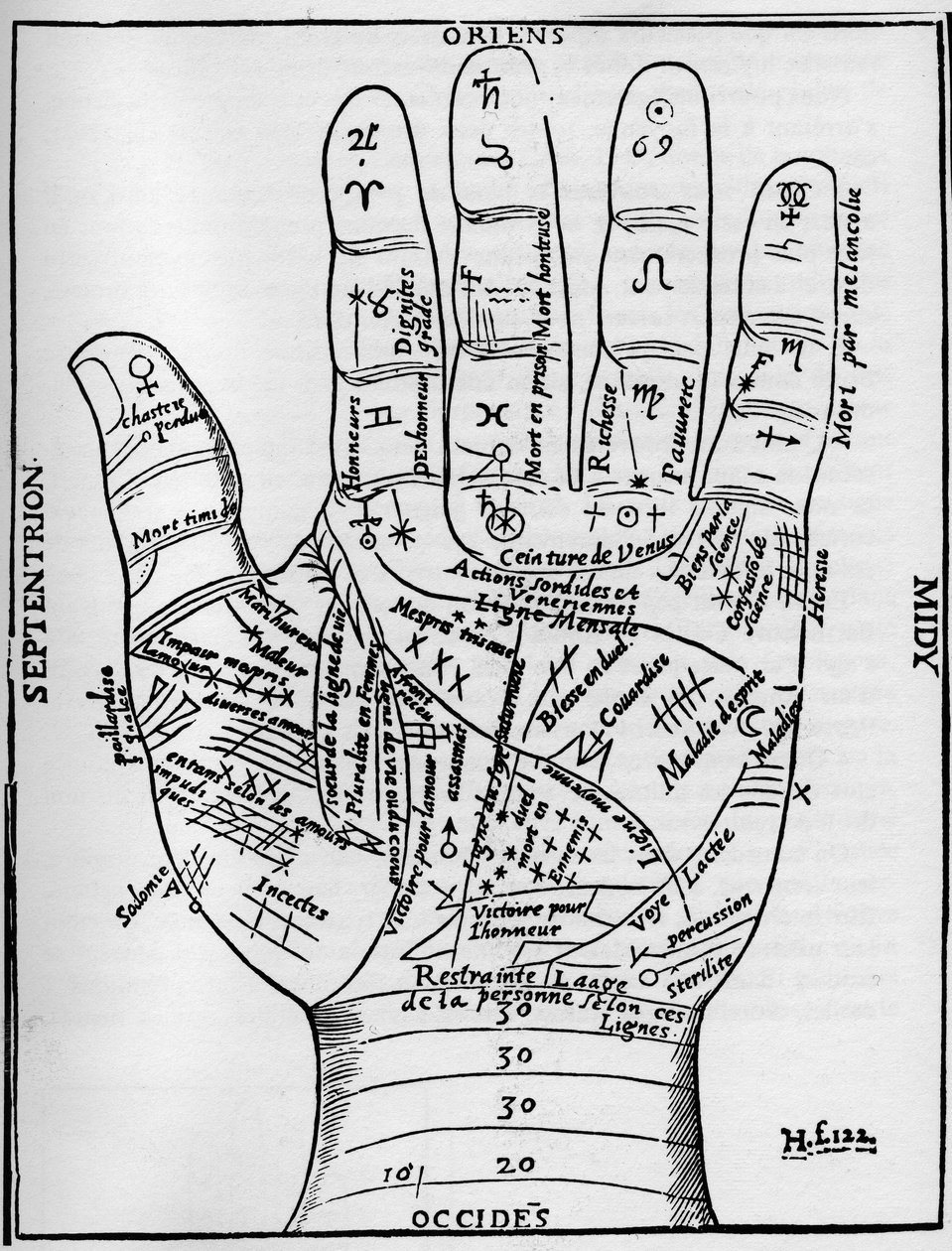 Quiromancia - GRÁFICO DE QUIROMANCIA - Diagrama planetario y zodiacal de la mano izquierda - Xilografía de 