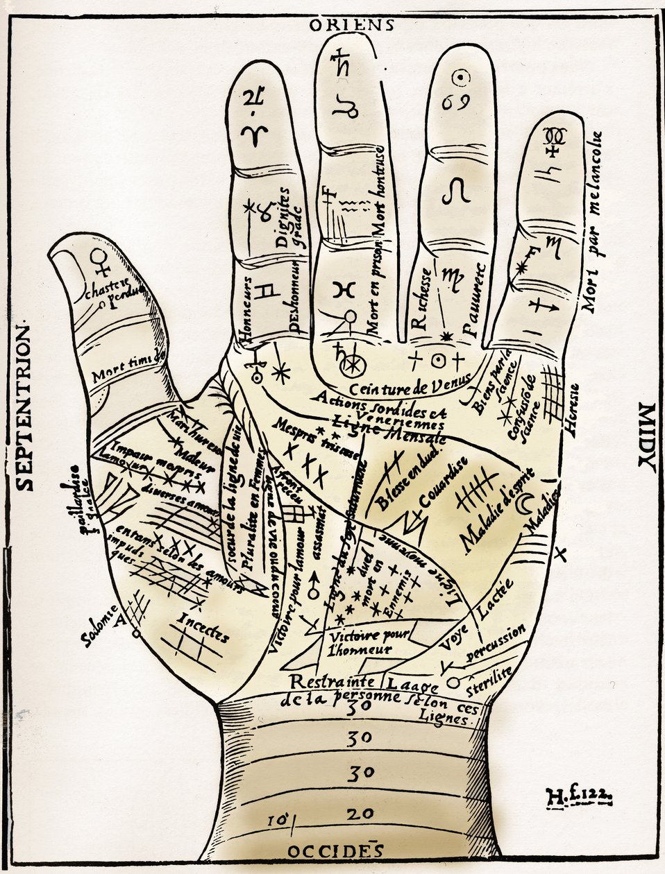Quiromancia - GRÁFICO DE QUIROMANCIA - Diagrama planetario y zodiacal de la mano izquierda - Xilografía de 