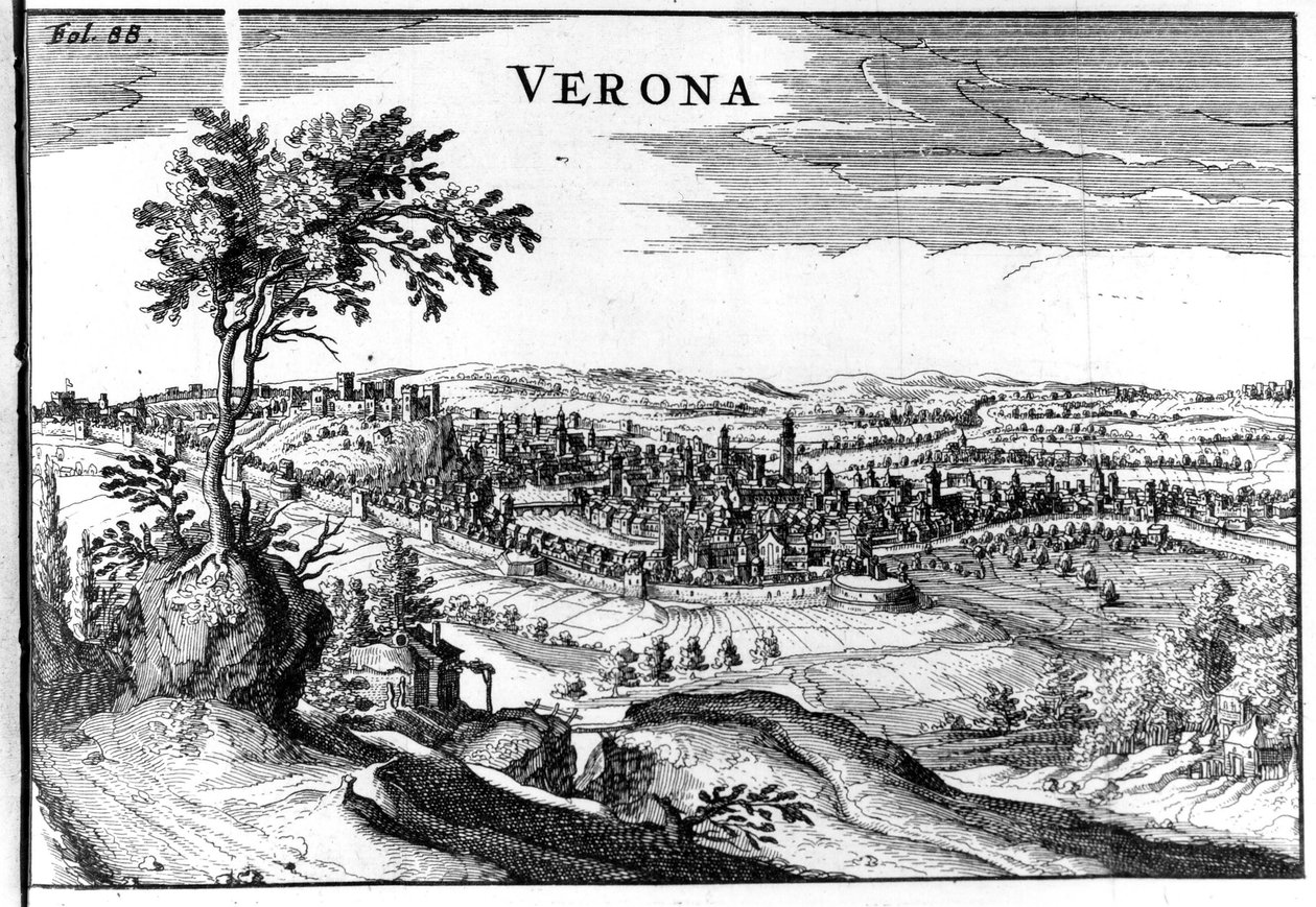 Mapa de la ciudad de Verona siglo XVI de Unknown artist