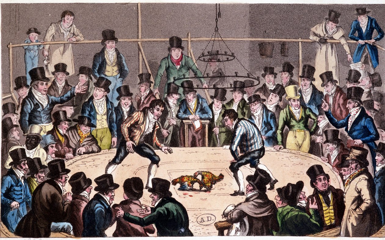 Pelea de gallos de Unknown artist