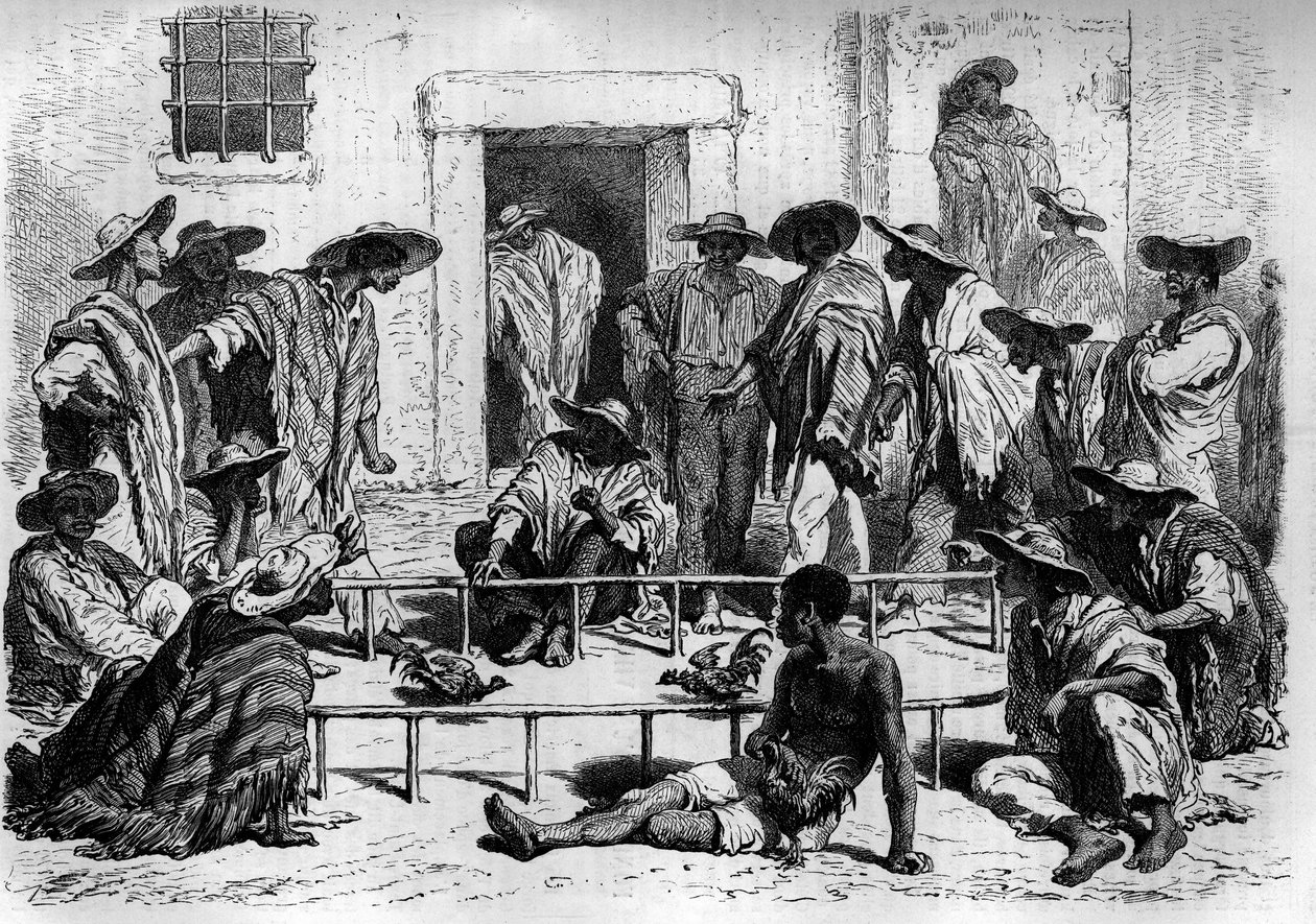 Pelea de gallos en América del Sur. Grabado en "El diario de la juventud" de Unknown artist