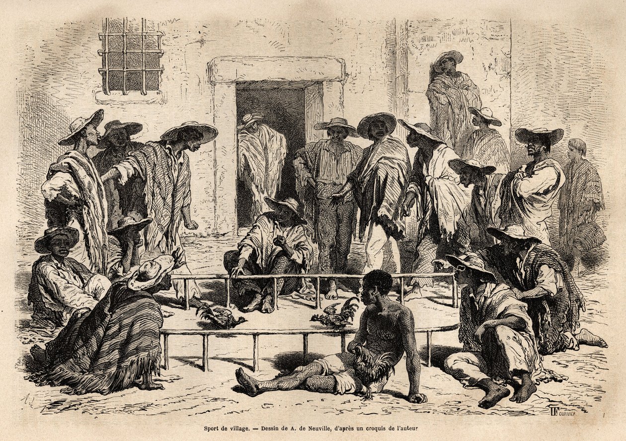 Pelea de gallos en el pueblo de Marinilla (región de Magdalena, Colombia) de Unknown artist