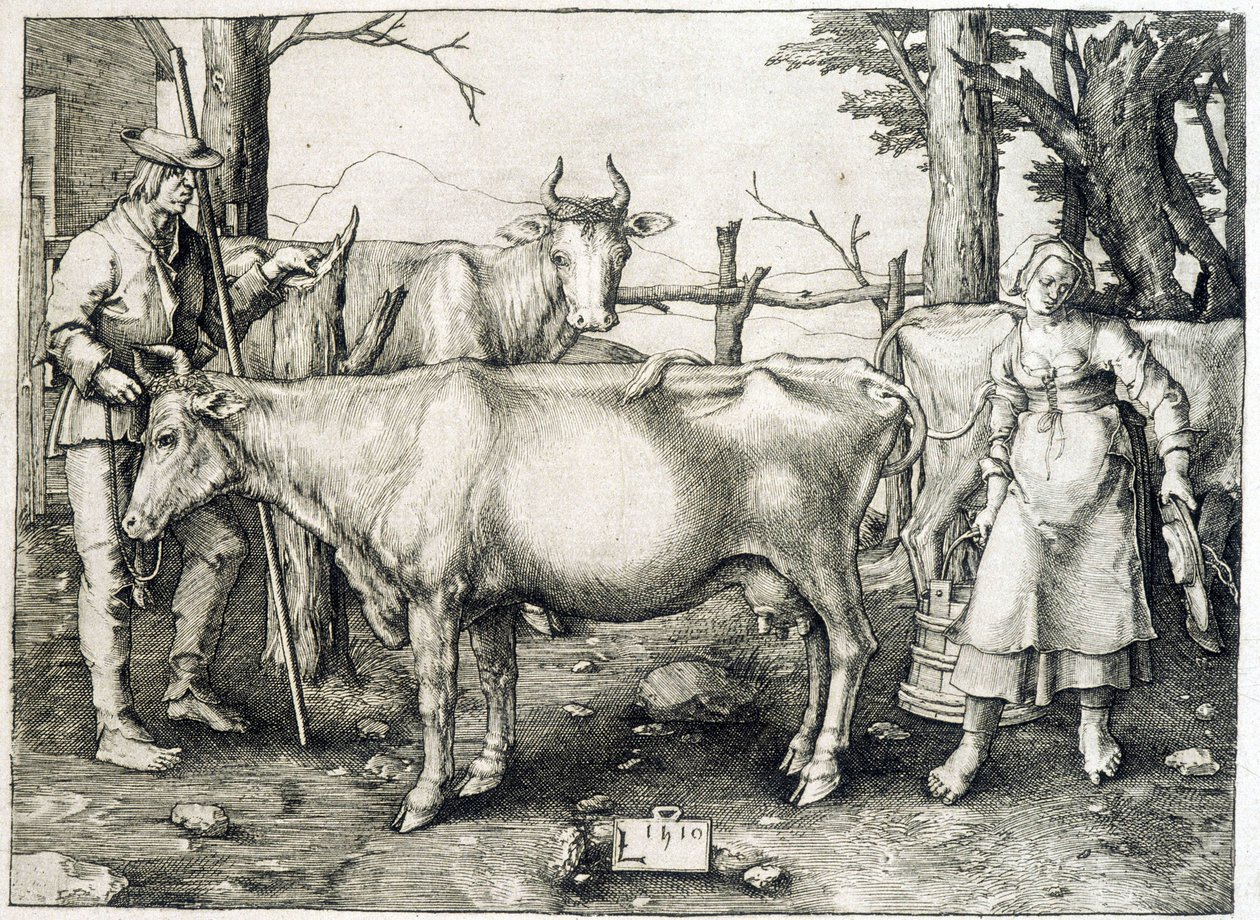 Capucha y lechería en Holanda de Unknown artist