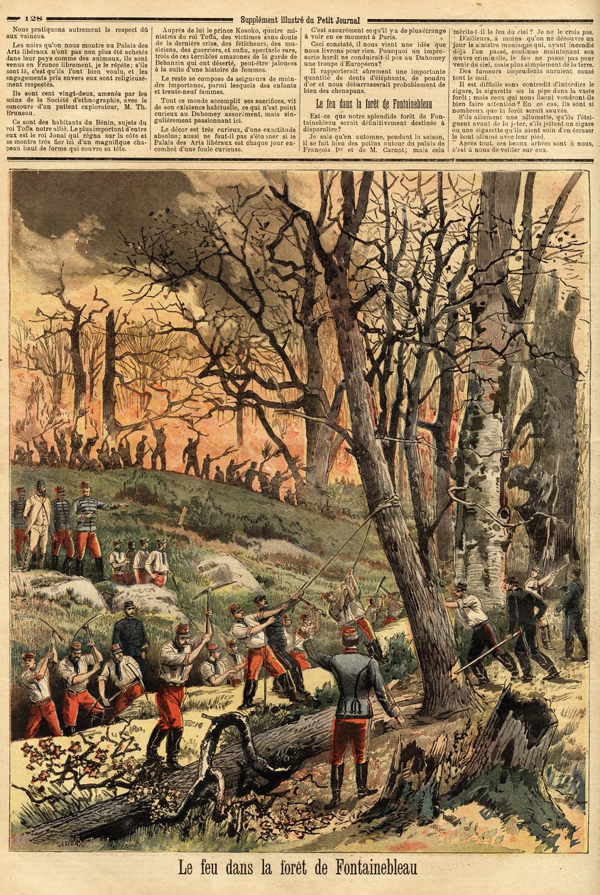 Incendio criminal en el bosque de Fontainebleau. Grabado en 