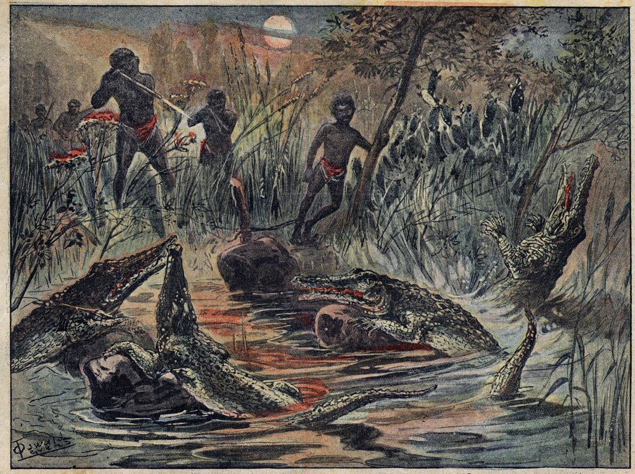 Caza de cocodrilos en Níger con un niño como cebo. Ilustración en “Le Pelerin” del 4 de diciembre de Unknown artist