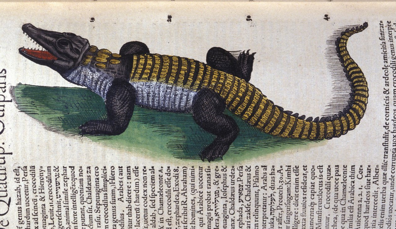 Cocodrilo. en Historia Animalium de Conrad Gesner (1516 - 1565), Tiguri de Unknown artist