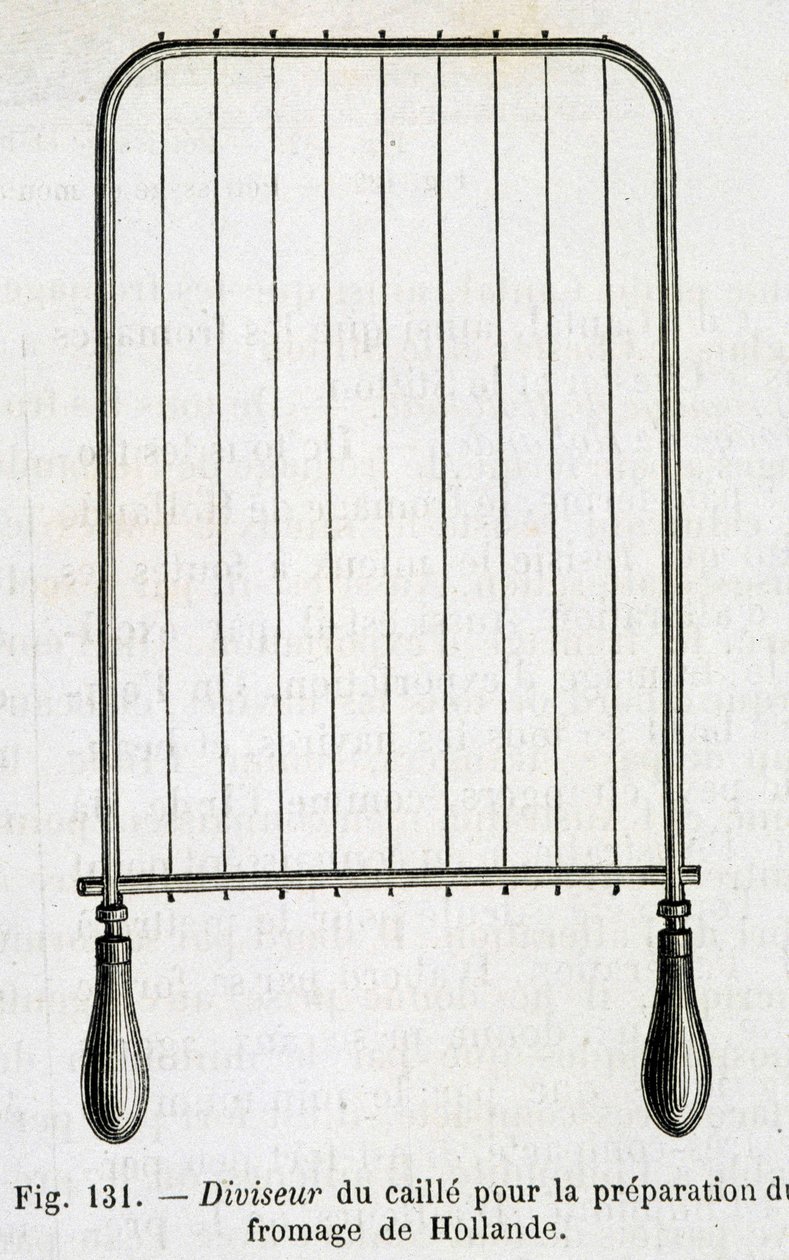Divisor de cuajada para la preparación de queso holandés - en "Las maravillas de la industria" de Louis Figuier de Unknown artist