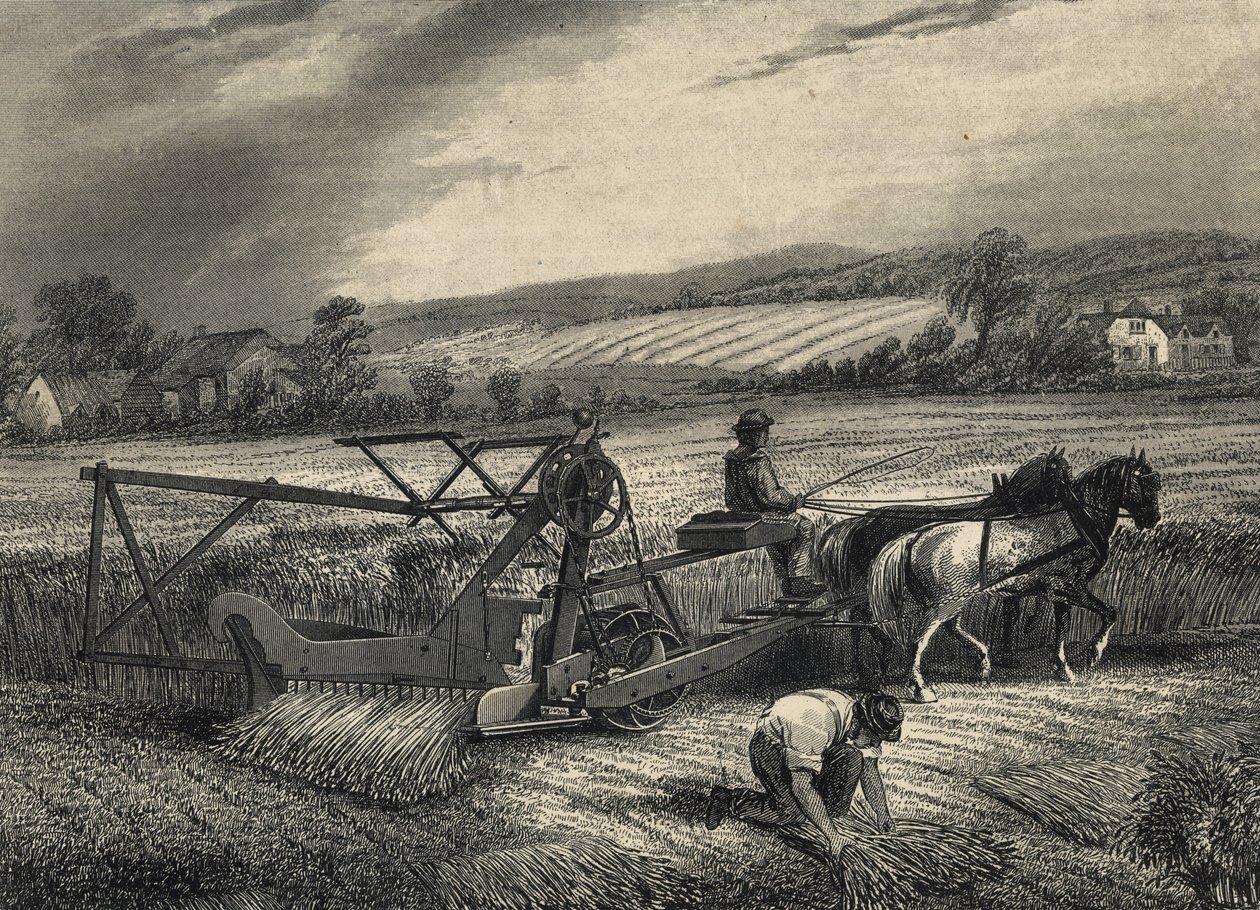 Segadora de Cyrus McCormick de 1831, expuesta en la exposición del Crystal Palace de 1851. de Unknown artist