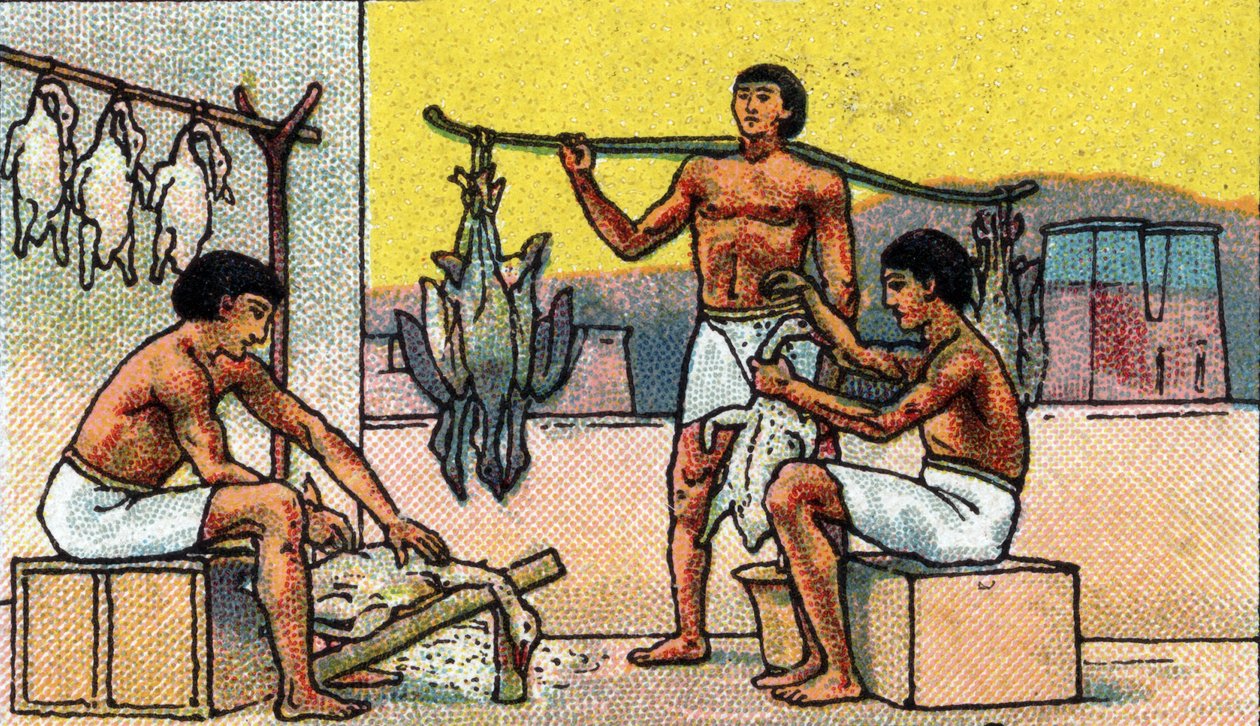 Vida cotidiana en el antiguo Egipto: cría y preparación de ocas en salazón, principios del siglo XX (cromo) de Unknown Artist