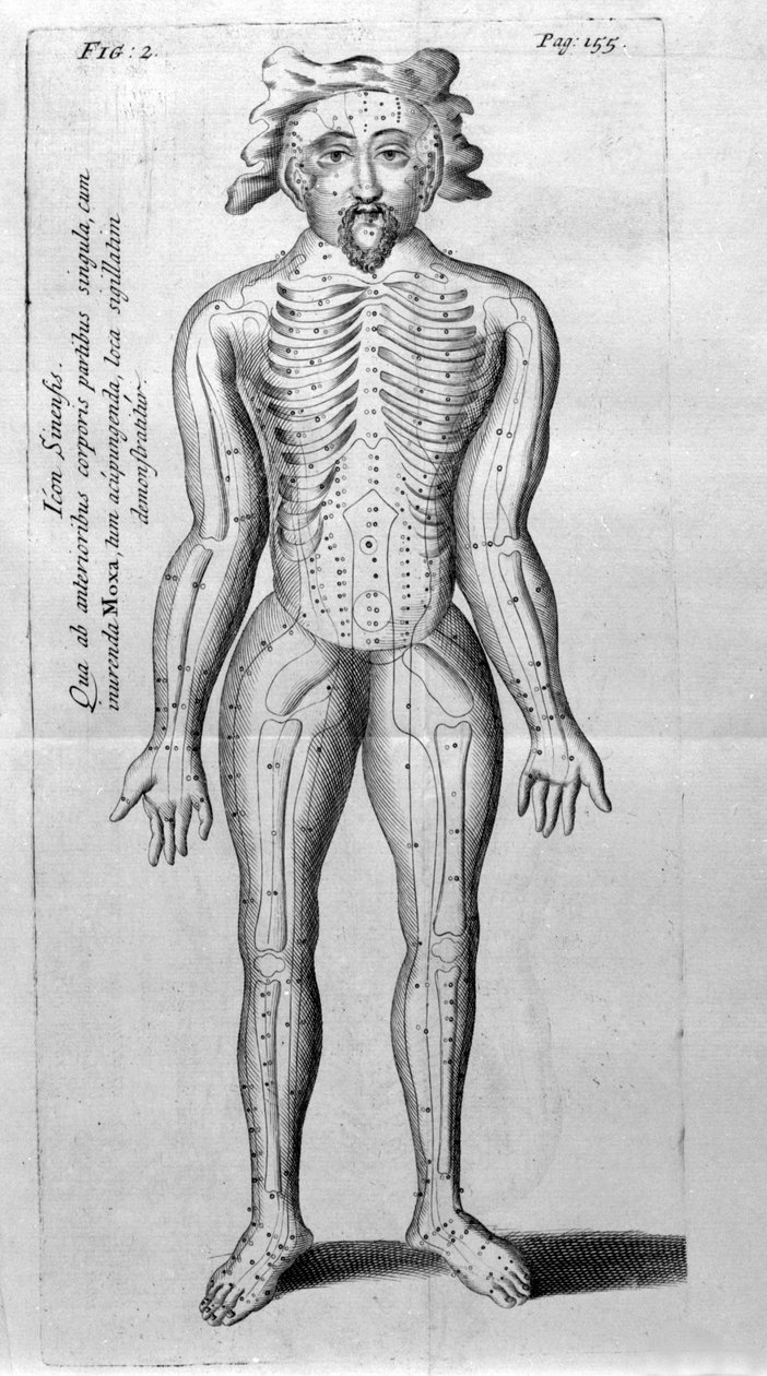 De Acupunctura por W.Ten Rhijne. Londres 1683. Primer texto occidental sobre acupuntura de Unknown artist