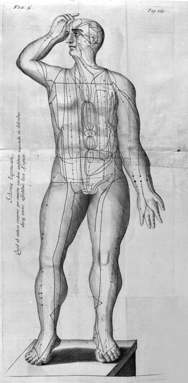 De Acupunctura por W.Ten Rhijne. Londres 1683. Primer texto occidental sobre acupuntura de Unknown artist