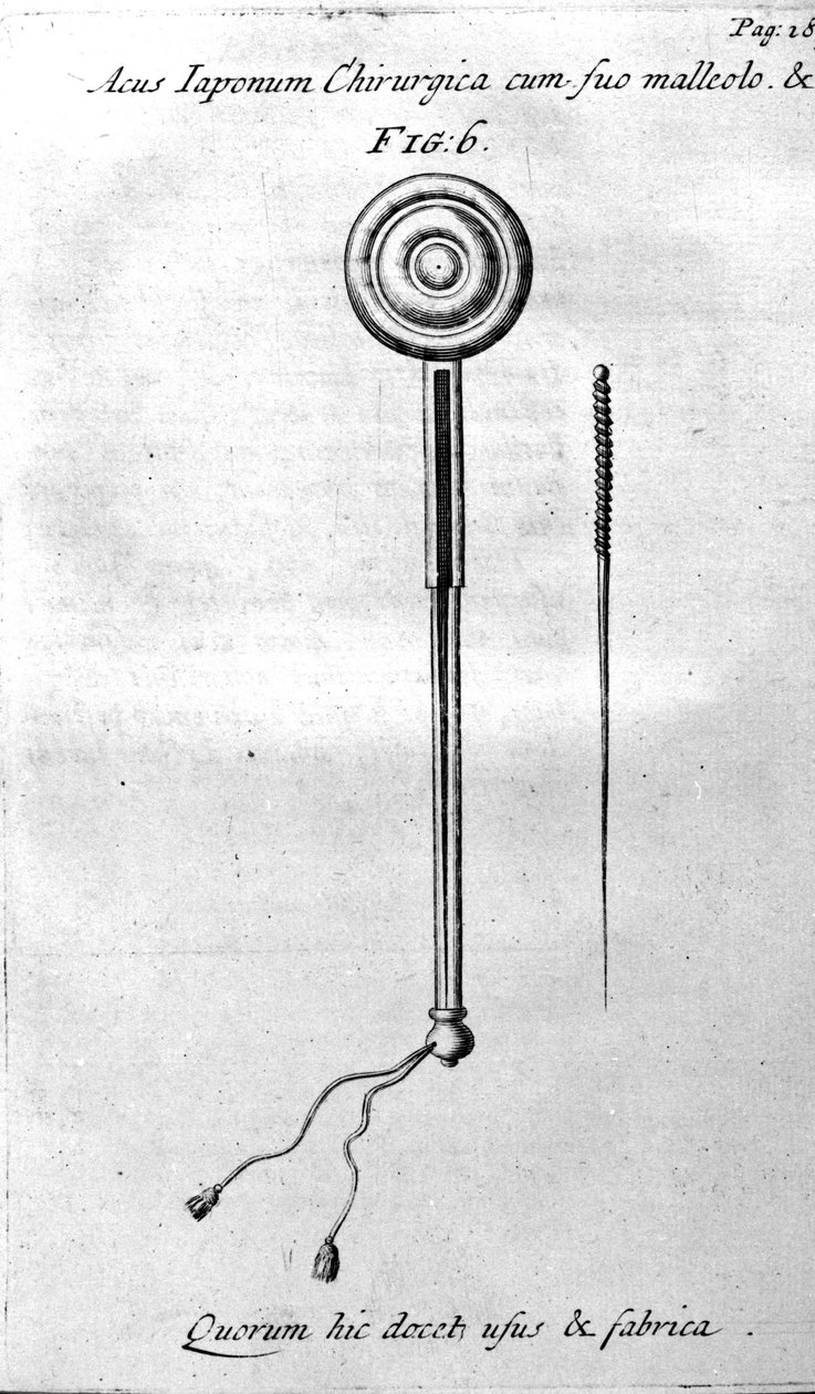 De Acupunctura por W.Ten Rhijne. Londres 1683. Primer texto occidental sobre Acupuntura de Unknown artist