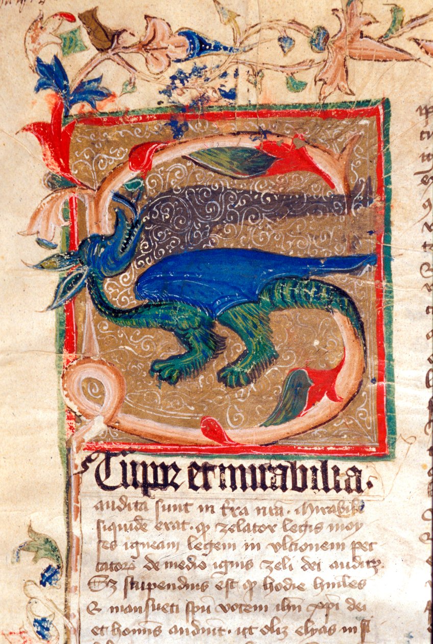 Dragón decorado en letra capital (detalle) de un manuscrito del siglo XIV de Unknown artist