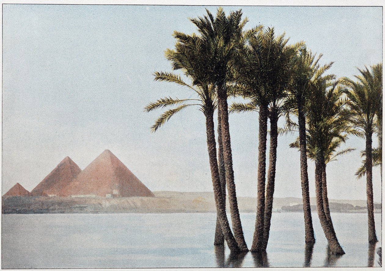 Egipto: la inundación del Nilo y las pirámides de Giza (Guizeh, Guiseh, Giza). de Unknown artist