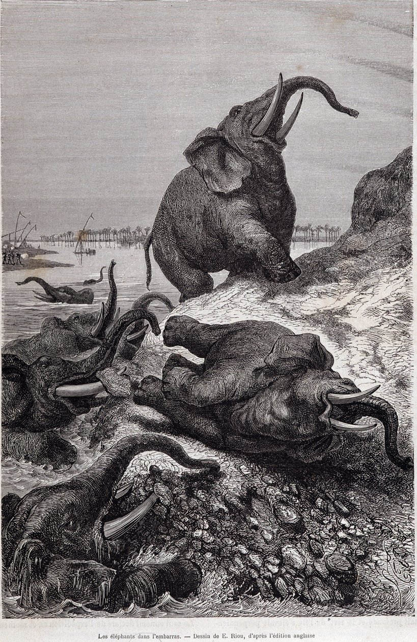 Elefantes subiendo la orilla de un río, en relato de una expedición a África Central encargada por Sir Samuel White Baker, "Tour du monde" de Unknown artist