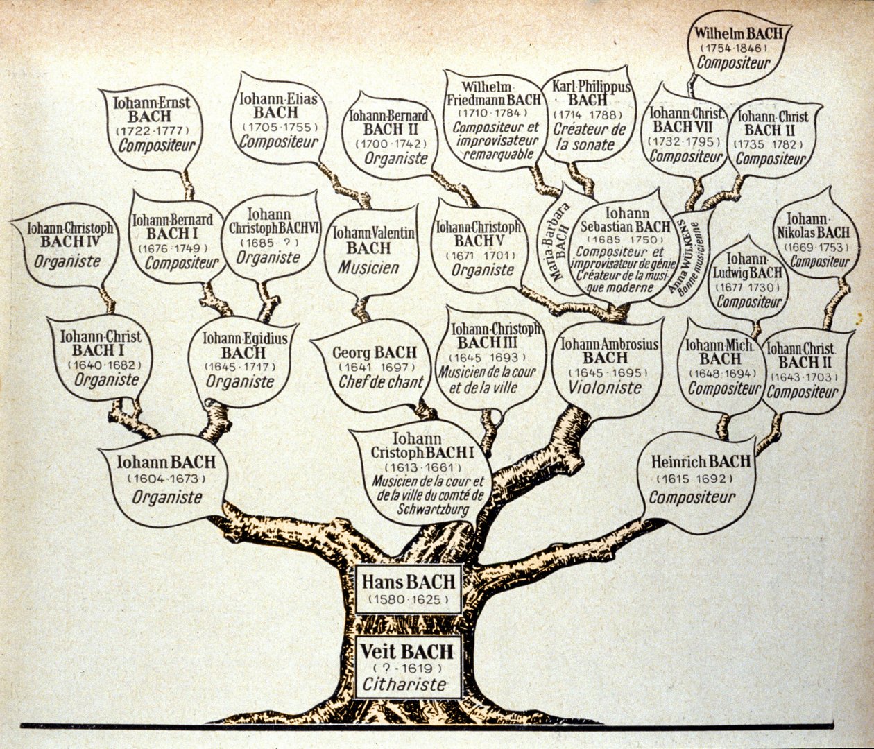 Árbol genealógico de la familia Bach de Unknown artist
