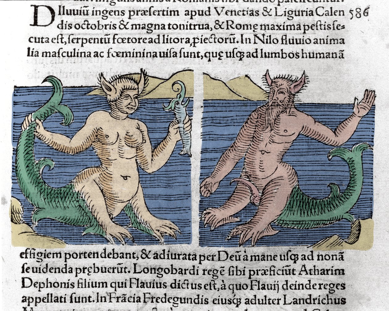 Criaturas fantásticas: Un tritón y una sirena vistas en el Nilo. Grabado de “El libro de los prodigios” (Prodigiorum ac ostentorum Chronicon Basileae) de Wolfhart (Conrad Lycosthene) 1557 de Unknown artist