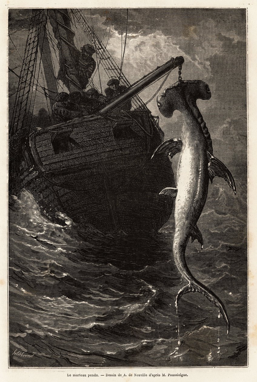 Pesca de un tiburón martillo de 7 metros de largo en las aguas cercanas a la Isla Anastasia. Grabado para ilustrar la historia de cuatro meses en Florida, por Achille Pousselgue en 1851-1852, publicado en "Le tour du monde" 1870-1871, editado por Edouard C de Unknown artist