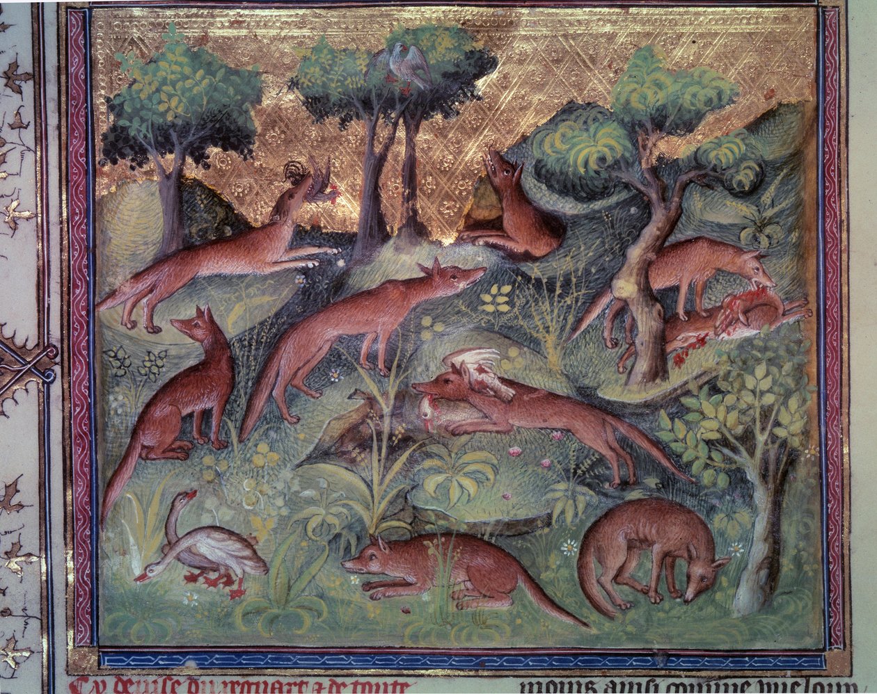 Caza de zorros y aves de corral. Miniatura del manuscrito “El libro de la caza” (folio 34v) por Gaston Phoebus (1331-1391) conocido como Gaston III Conde de Foix de Unknown artist
