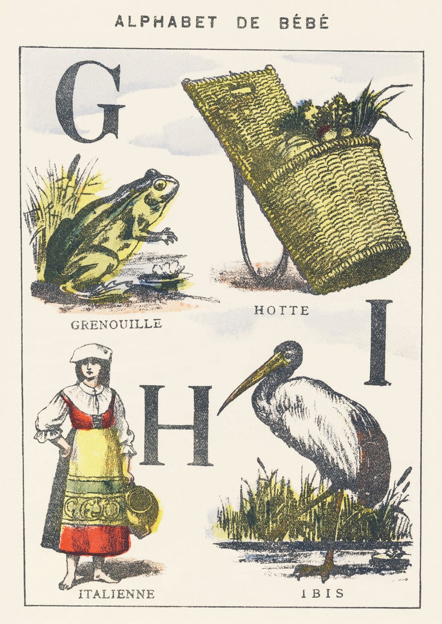 G H I: rana, capucha, italiano, ibis de Unknown artist