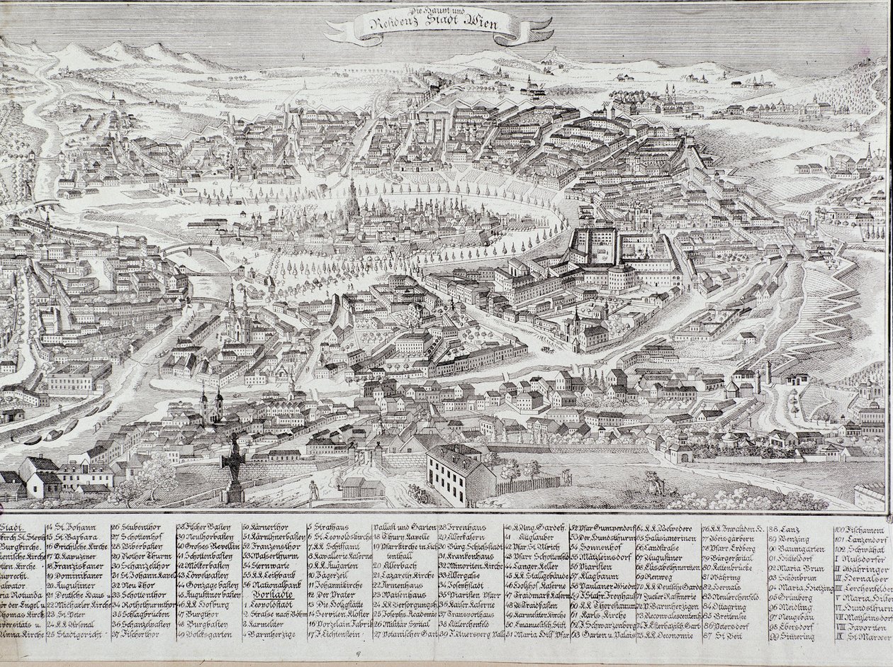 Vista general de la ciudad de Viena con detalle de los principales edificios y monumentos. Austria. Grabado de 1800 Colección privada de Unknown artist
