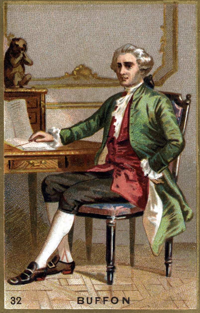 Georges Louis Leclerc, Conde de Buffon (1707 - 1788) de Unknown artist