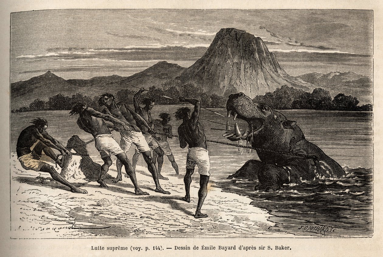 Caza de hipopótamos con la tribu Houarti, con arpones y lanzas, el furioso animal carga y resiste. Grabado para ilustrar la exploración de los afluentes abisinios del Nilo, por Sir Samuel W.Baker, en 1861-62, publicado en “Le tour du monde” 1869. de Unknown artist