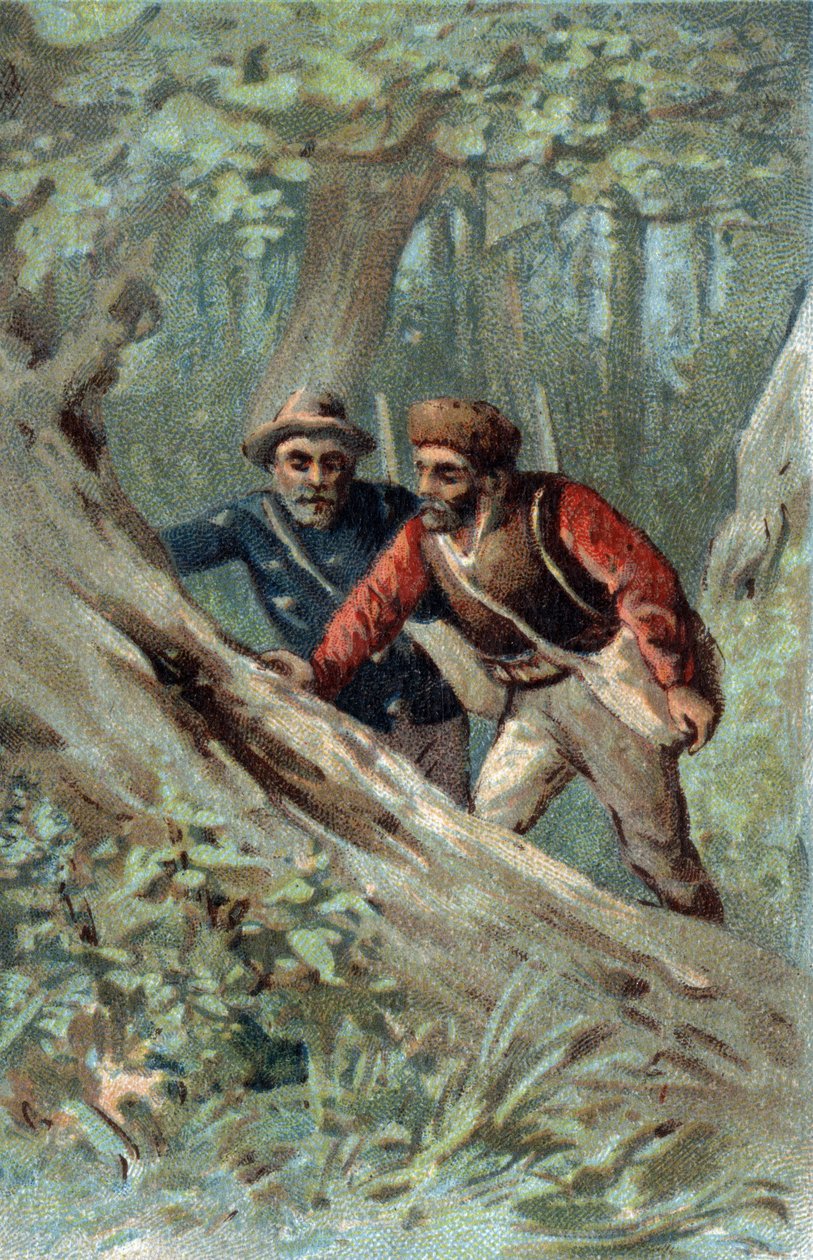 Cazadores de miel en Canadá buscando un árbol enjambre. Cromolitografía de finales del siglo XIX de Unknown artist