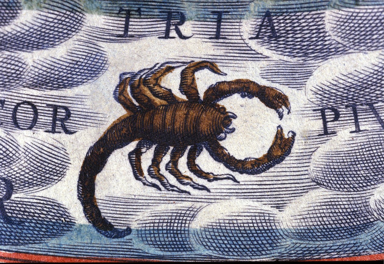 Horóscopo: signo del zodiaco, Escorpión de Unknown artist