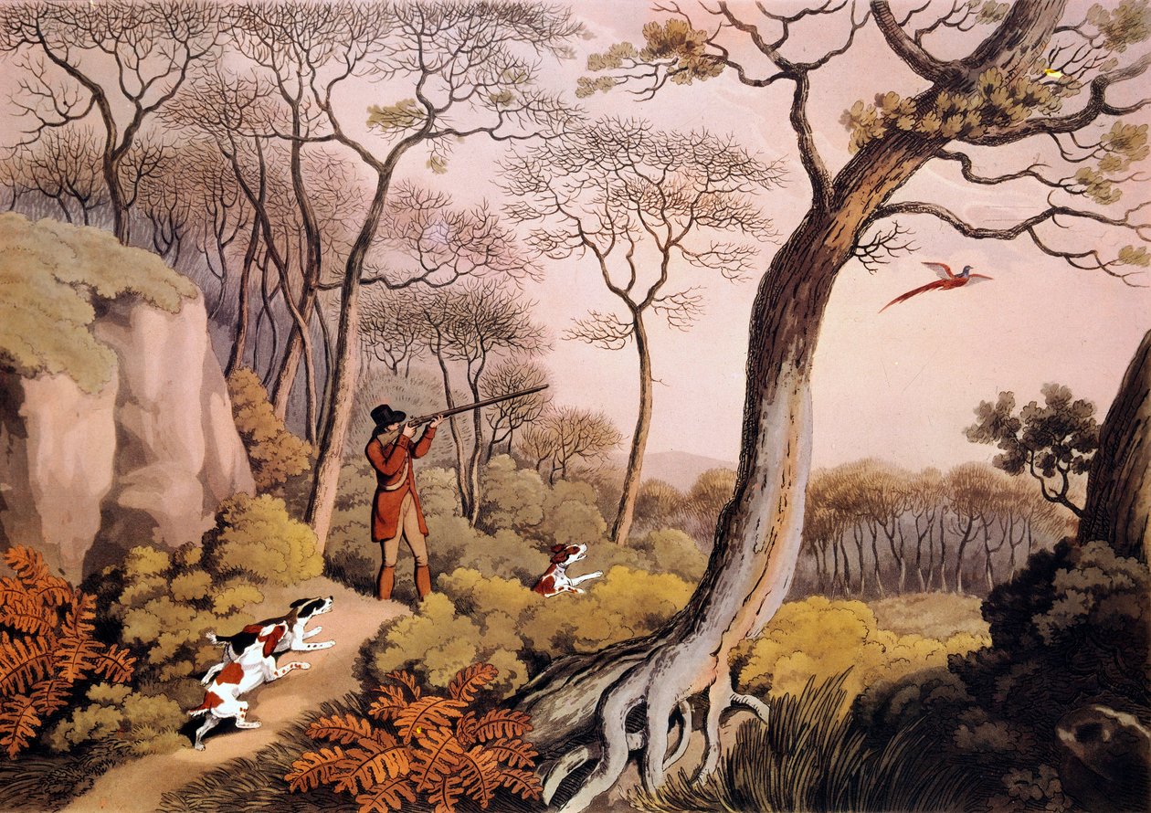 Caza de faisanes en Inglaterra. Grabado del siglo XIX. Gien, museo de caza de Unknown artist