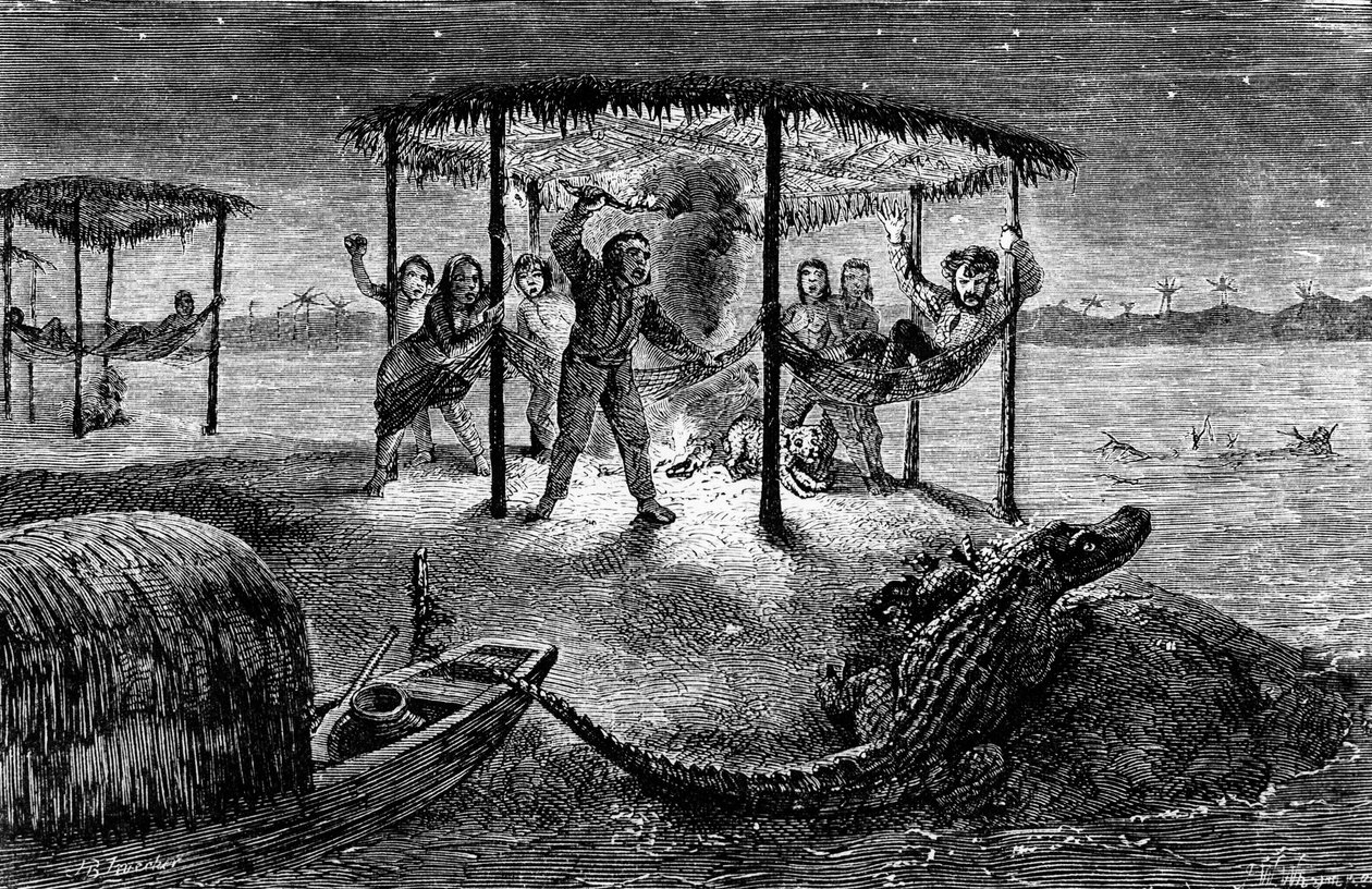 Ilustración El naturalista en el río Amazonas" de Henry Walter Bates (grabado) de Unknown artist