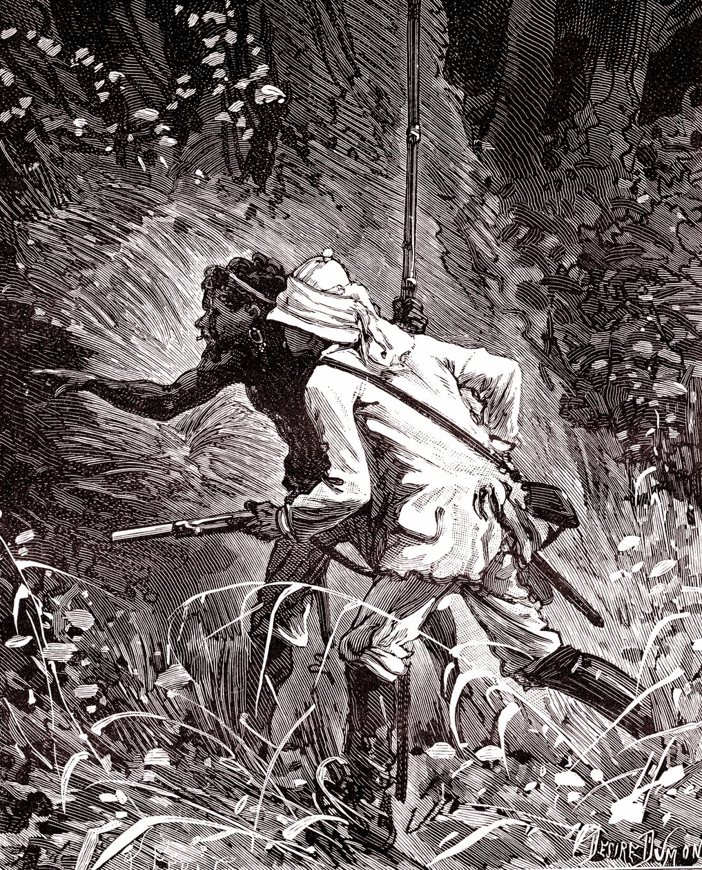 En los campos de caucho (Hevoea) de la selva de Guyana de Unknown artist