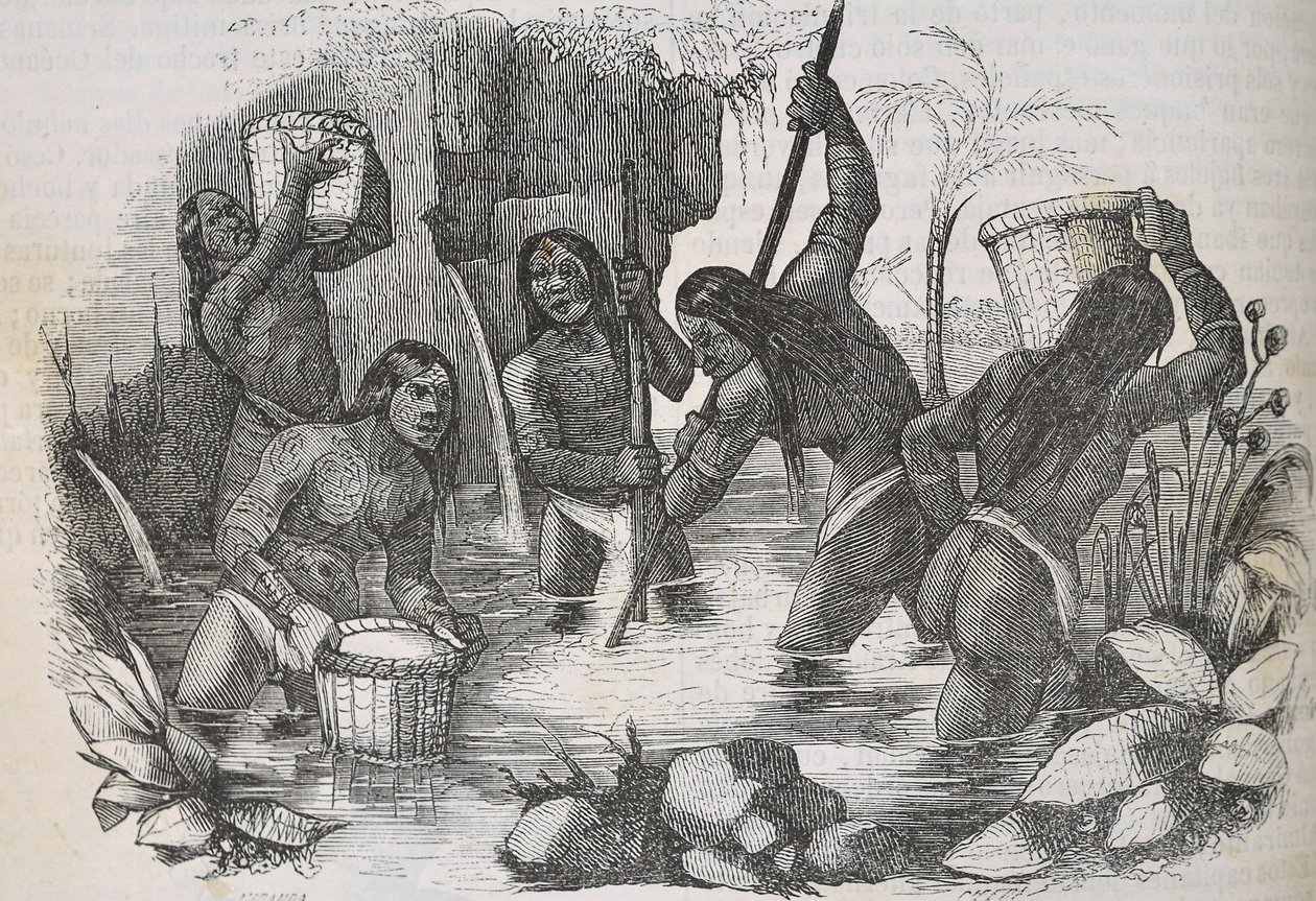 Indios de la Isla de La Española buscando oro de Unknown artist