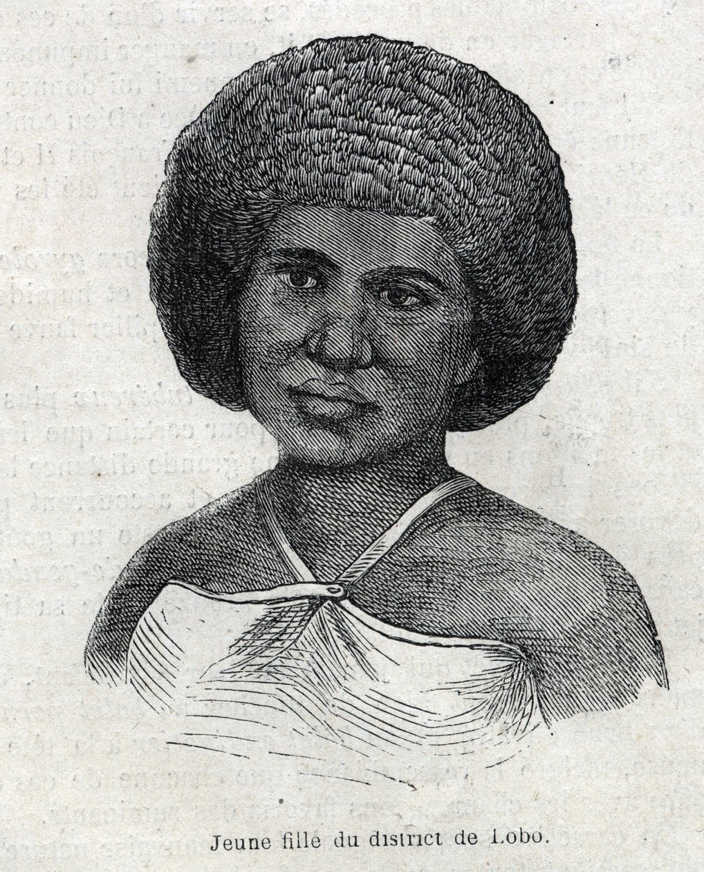 Indígenas de Nueva Guinea: joven de Lobo. Grabado en "El Universo Ilustre" de Unknown artist