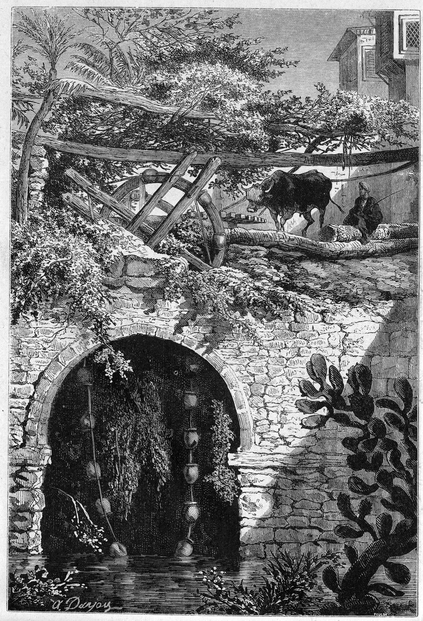 Irrigación en Egipto: un buey gira una rueda alrededor de la cual están envueltos cubos. Grabado en “Le Monde Illustré” n°1313 del 27 de mayo de 1882 de Unknown artist
