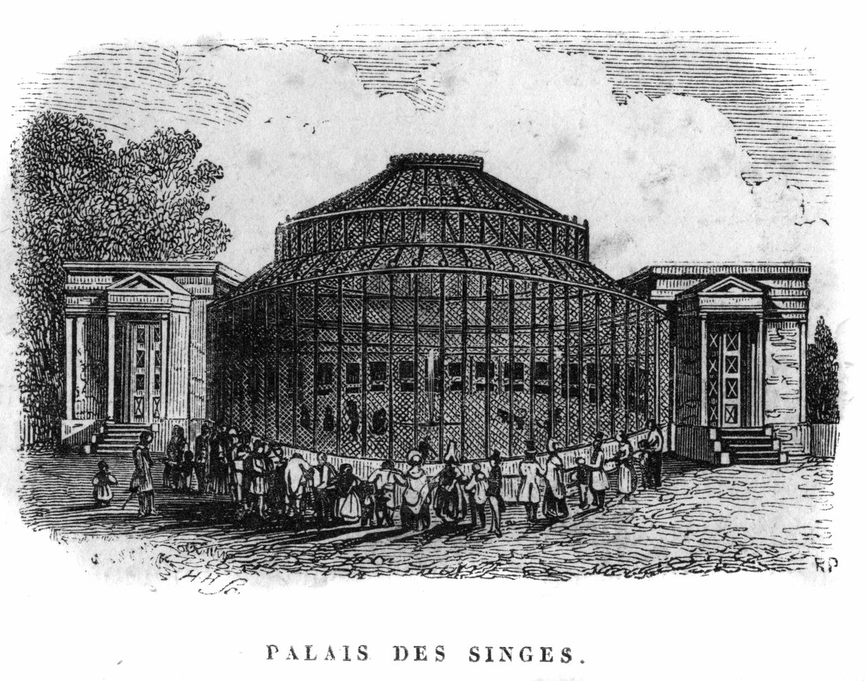 Jardin des Plantes en París en 1861: palacio de los monos. de Unknown artist