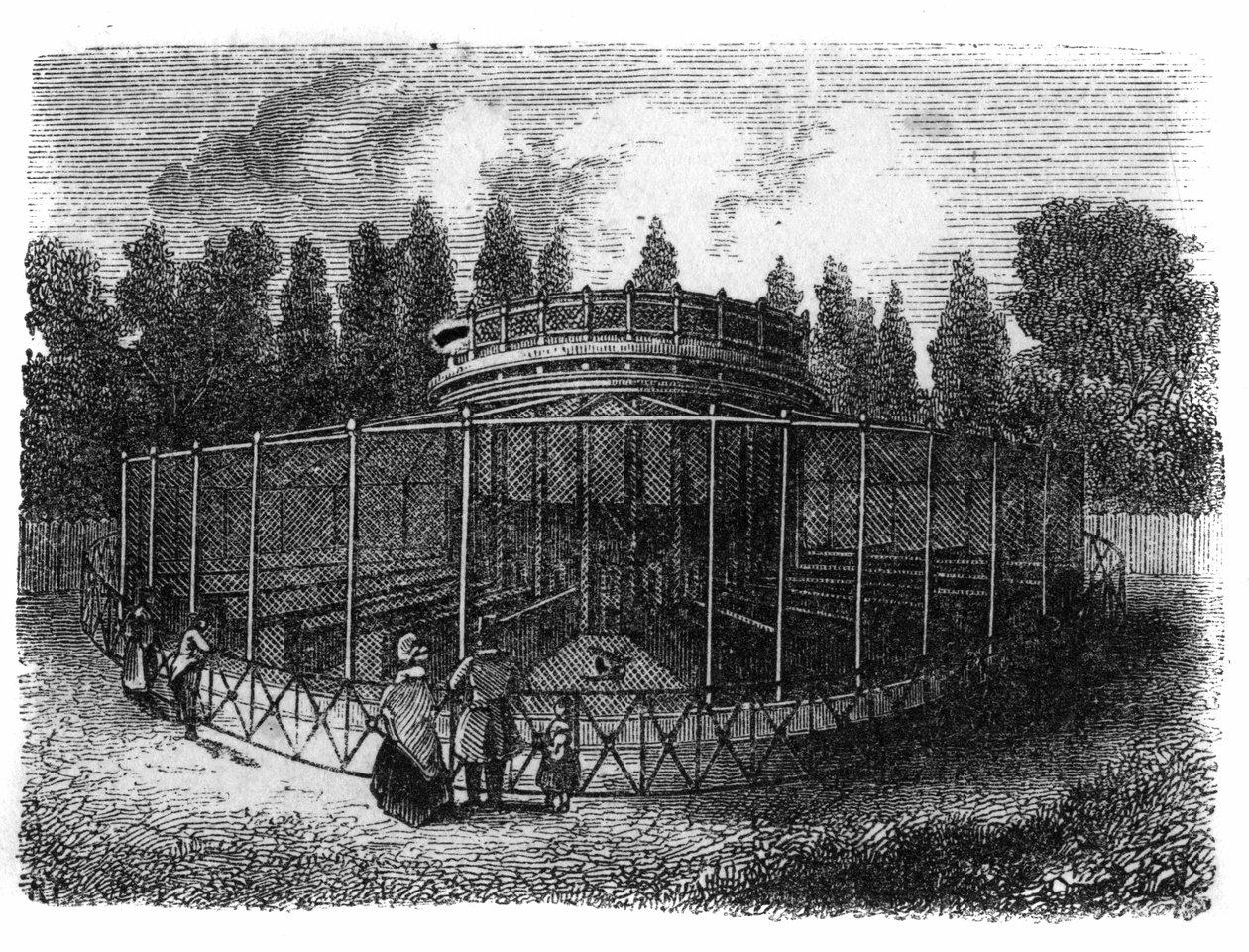 Jardín de las Plantas en París en 1861: faisanería. de Unknown artist