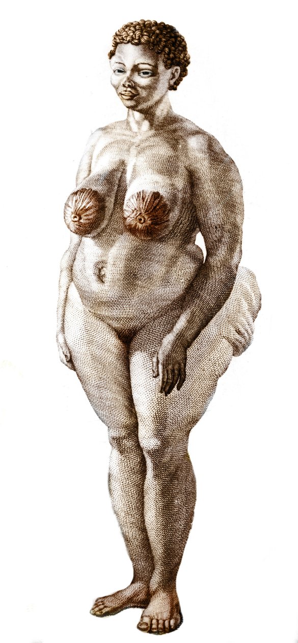 La Venus Hotentote, mujer de raza Bochiman. Grabado de 1815. de Unknown artist