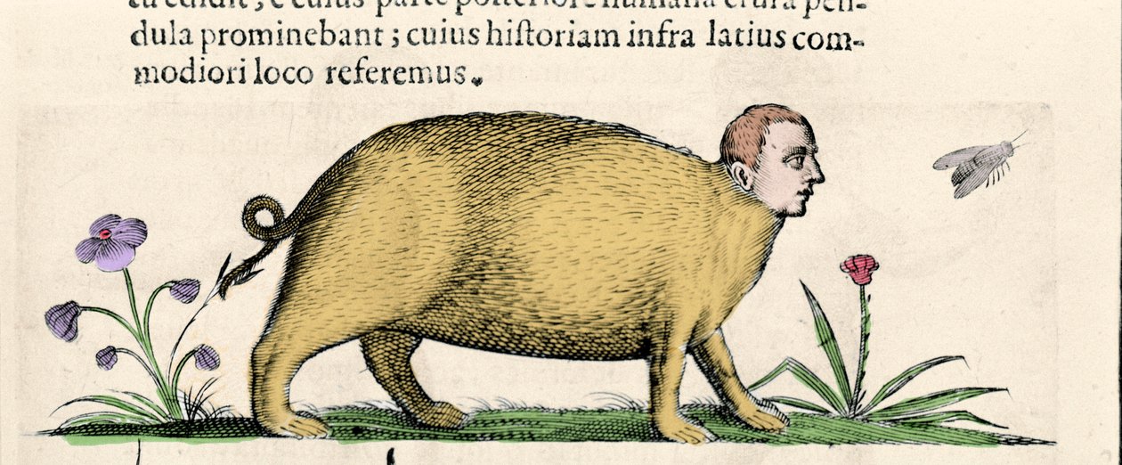 La manticora - en "De monstrorum natura causis libri duo" de Fortunio Liceti de Unknown artist