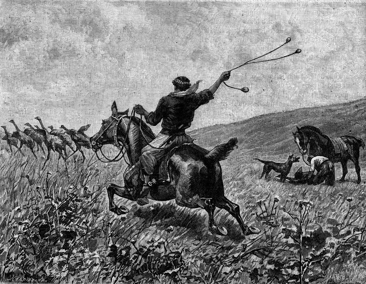 Lazo: caza de casuario con lazo de bolas. Grabado en “Le Journal de la jeunesse” de Unknown artist