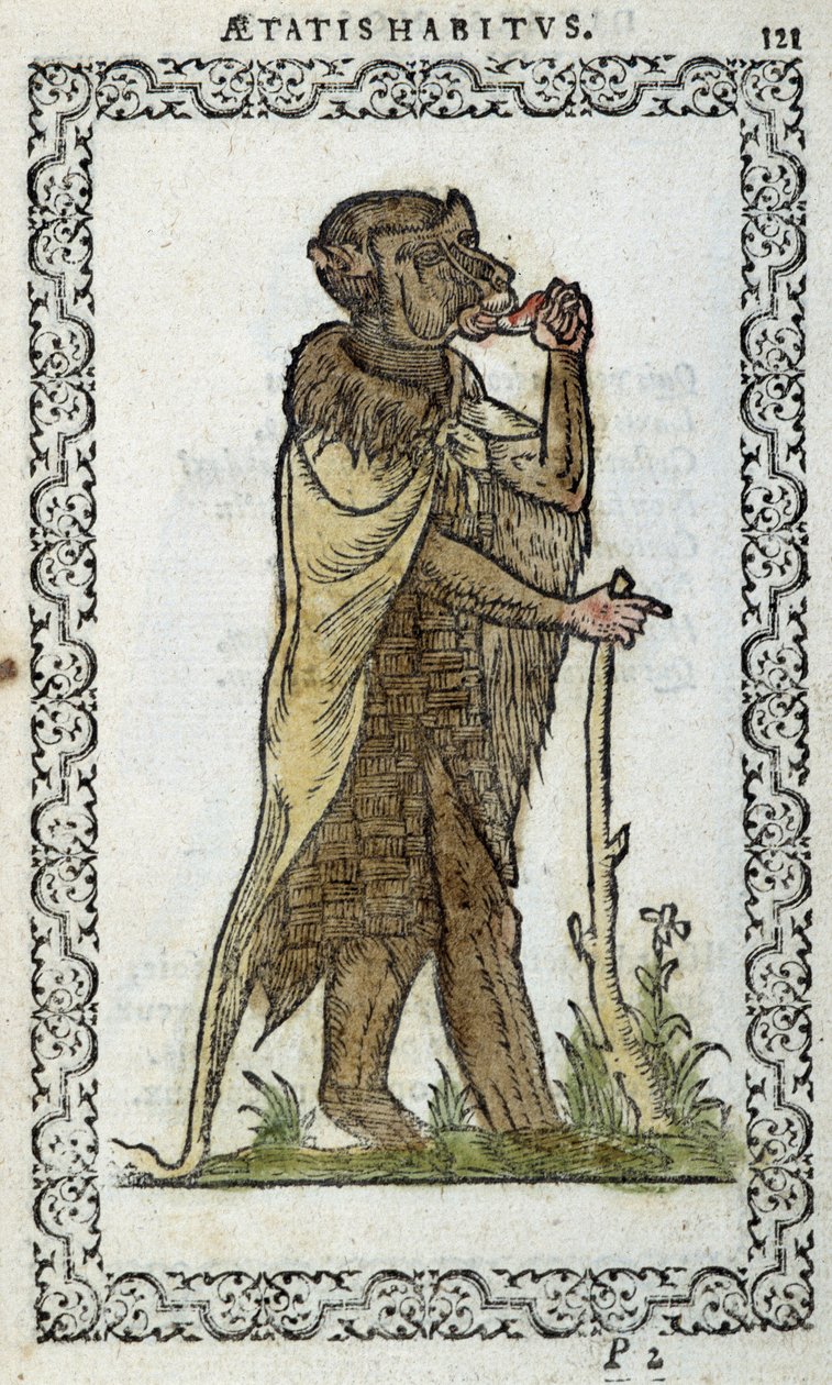 Le monge debout - en “Habits et effigies” por Jean Sulperius de Unknown artist