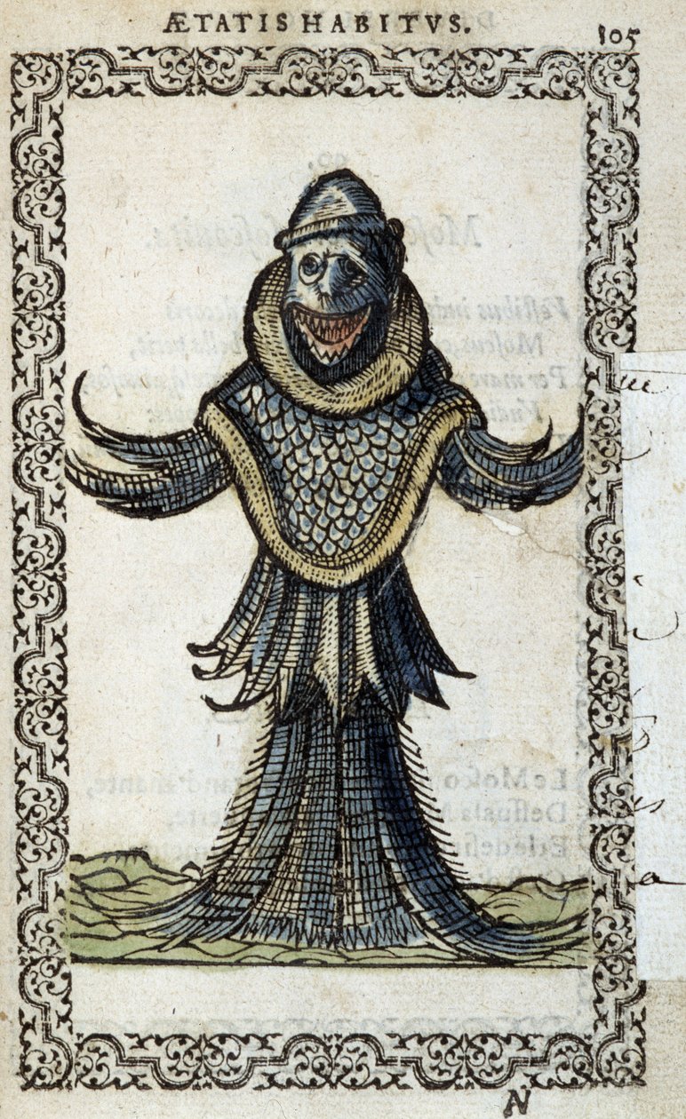 Le monine marin - en "Habits et effigies" de Jean Sluperius de Unknown artist