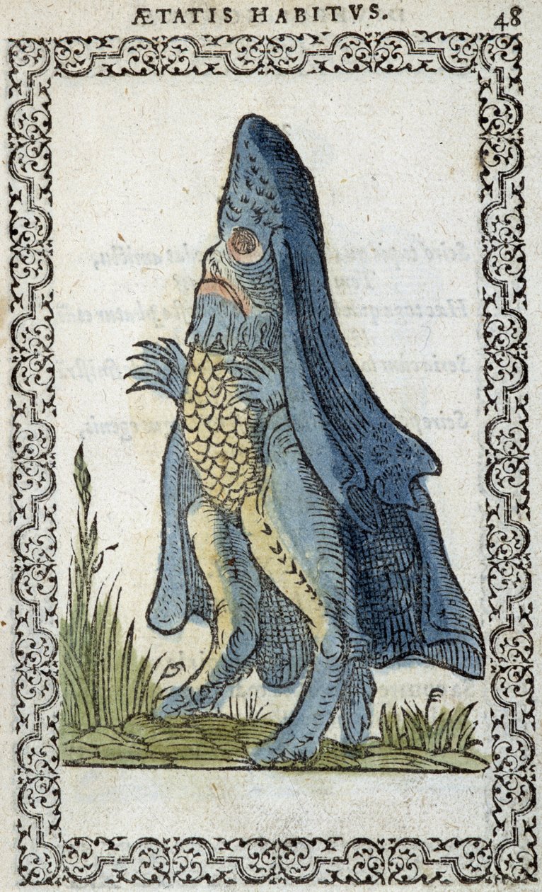 El enesque de mar - en “Hábitos y efigies” de Jean Sluperius de Unknown artist
