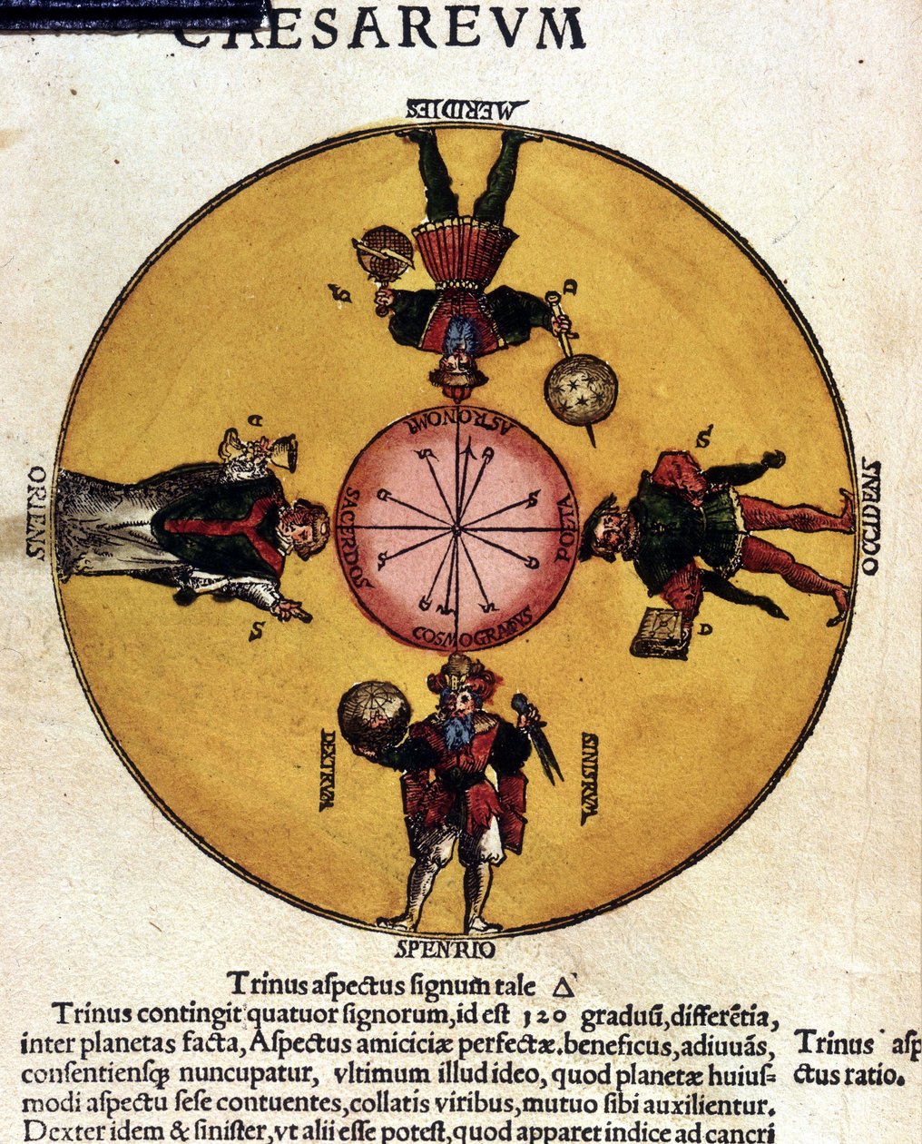 Los antípodas - en “Astronomicon caesarum”, tratado del siglo XVI. de Unknown artist