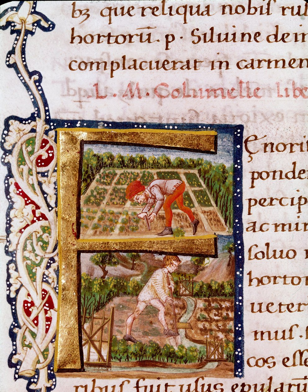 Letra F del capítulo sobre horticultura: escenas de playa y riego. Miniatura tomada de "De re rustica" del agrónomo Lucius Iunius Moderatus Columella (siglo I) (Ms.E-39). Siglo XV. Roma, Biblioteca Vallicelliana de Unknown artist