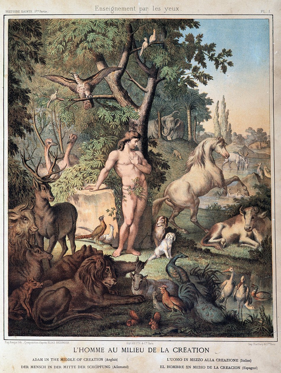 El hombre en medio de la Creación - en “Histoire Sainte”, ed. Hachette de Unknown artist