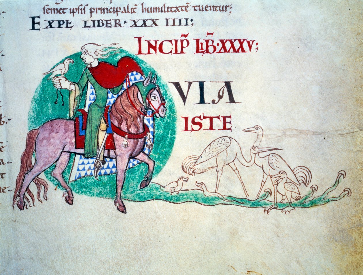 Señor en la caza del halcón. Miniatura de la Edad Media. Manuscrito “Moralia in Job” de la Abadía de Citeaux para el Papa Gregorio I de Unknown artist