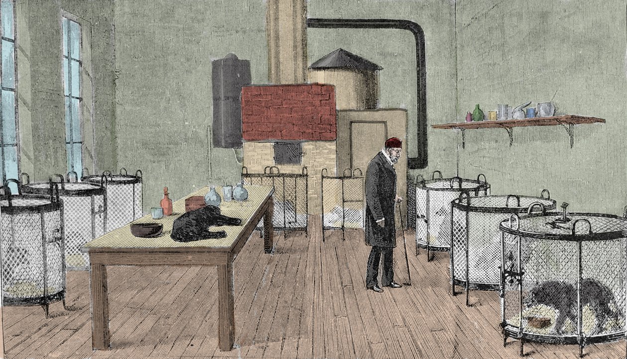 Louis Pasteur (1822-1895), químico y físico francés en su laboratorio en París de Unknown artist