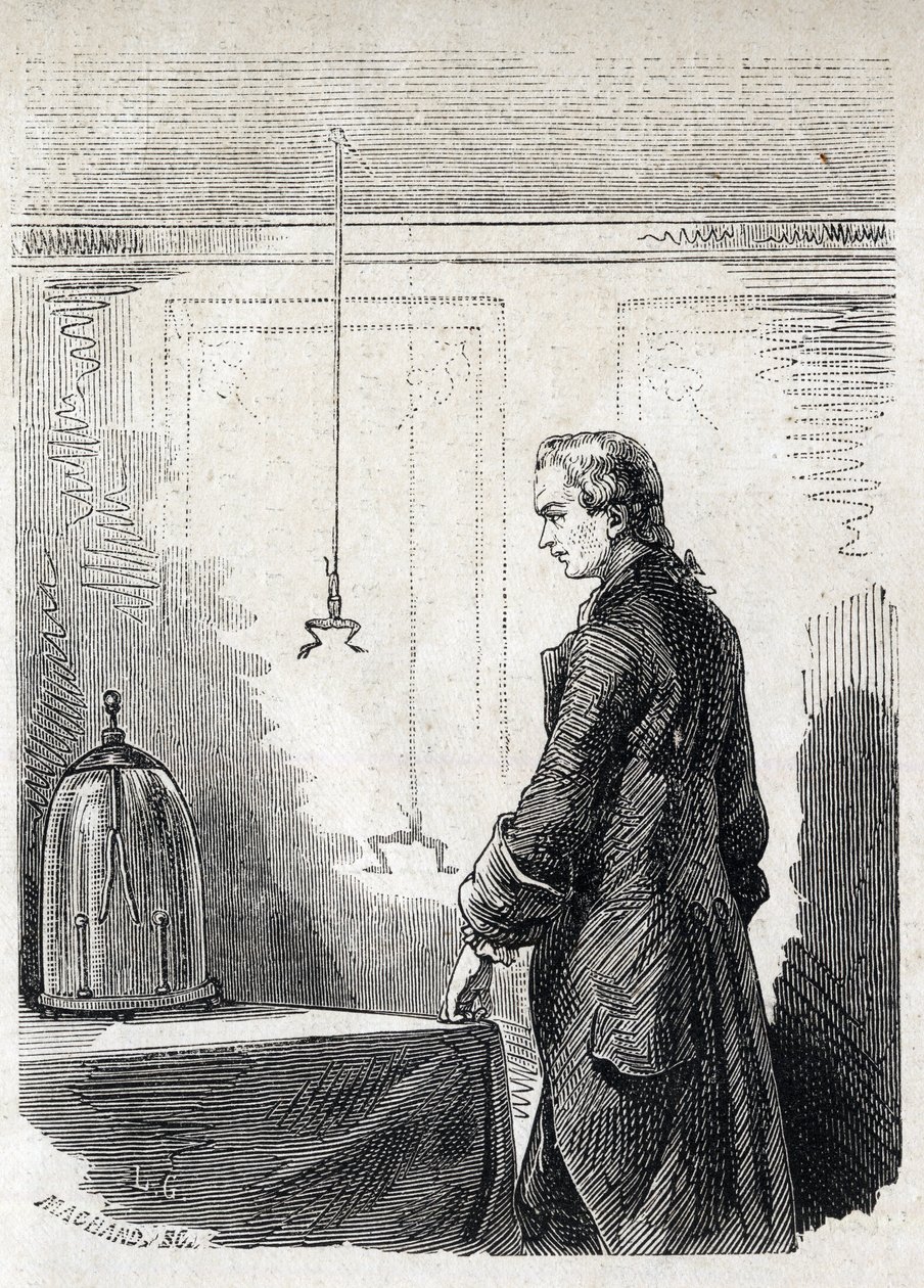 Luigi Galvani causa contracciones en una rana con electricidad de un pararrayos - LUIGI GALVANI (1737-1798) médico y físico italiano. Causa contracciones en una rana con electricidad de una nube de tormenta de Unknown artist