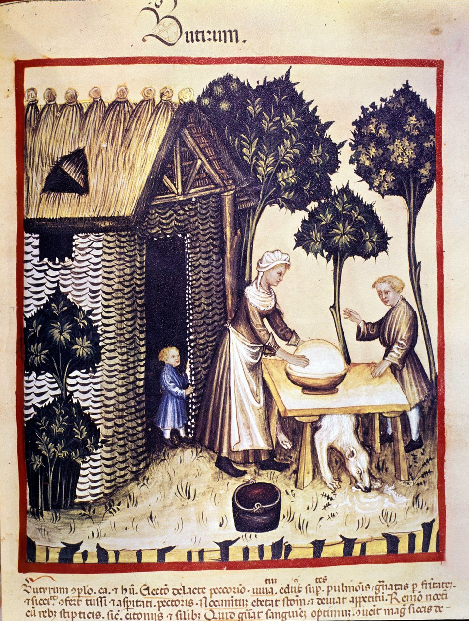 Fabricación de mantequilla. Iluminación de la leche de medicina y dietética "Tacuinum sanitatis" de Unknown artist